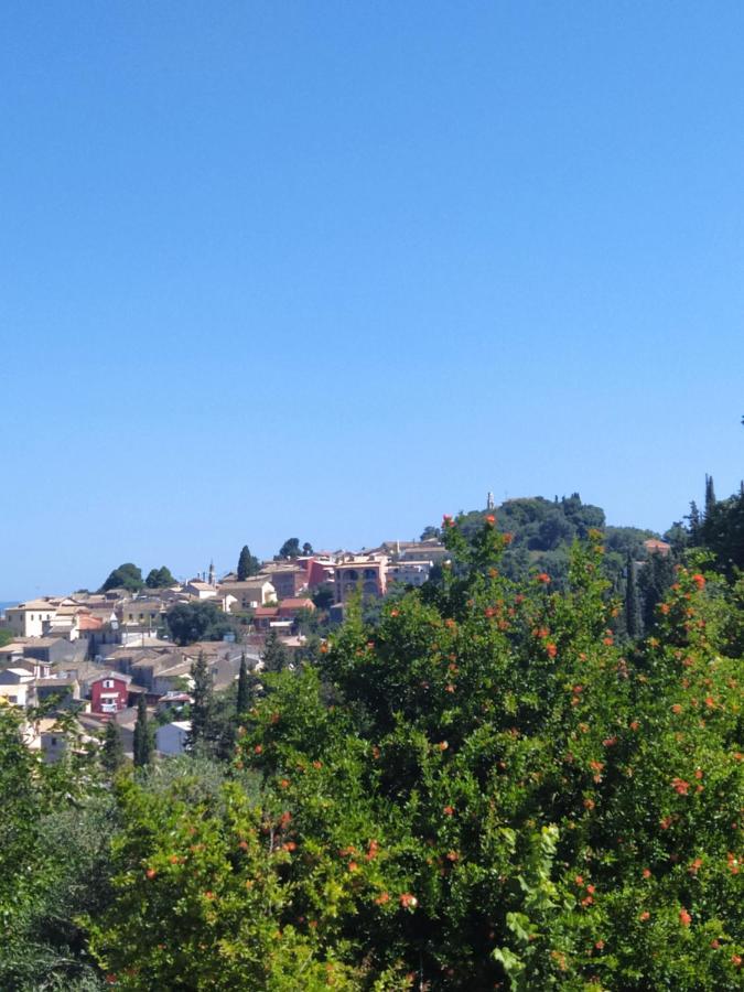 Nikos' * Gastouri (Corfu)