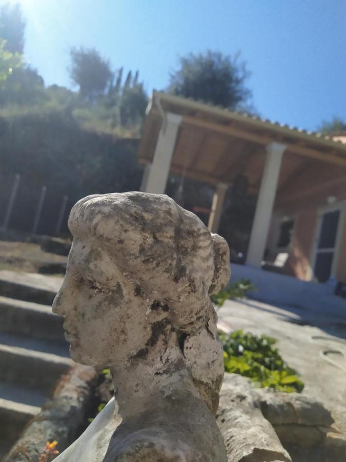 Nikos'